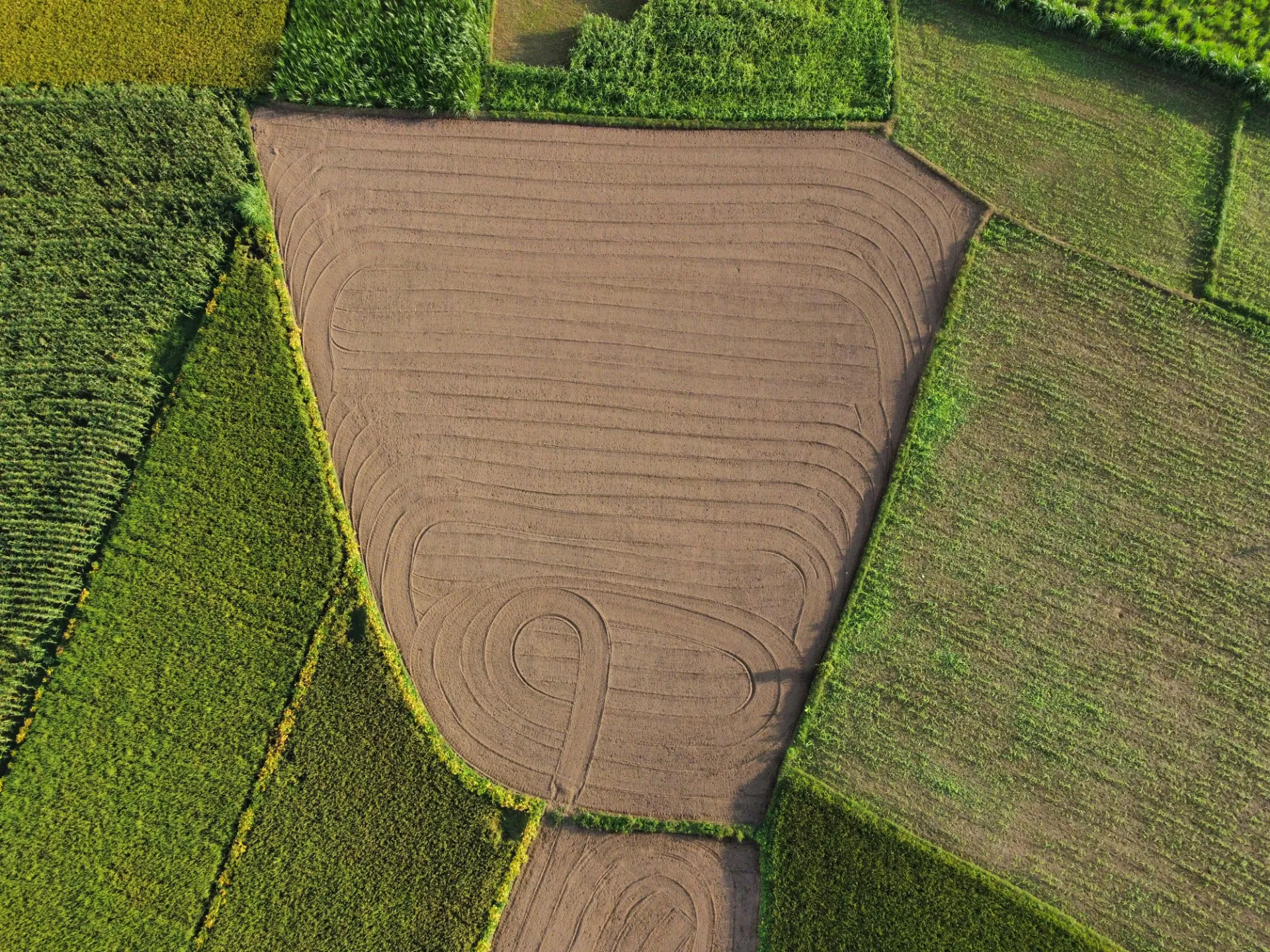 Fertile 5 Acres in Nakuru