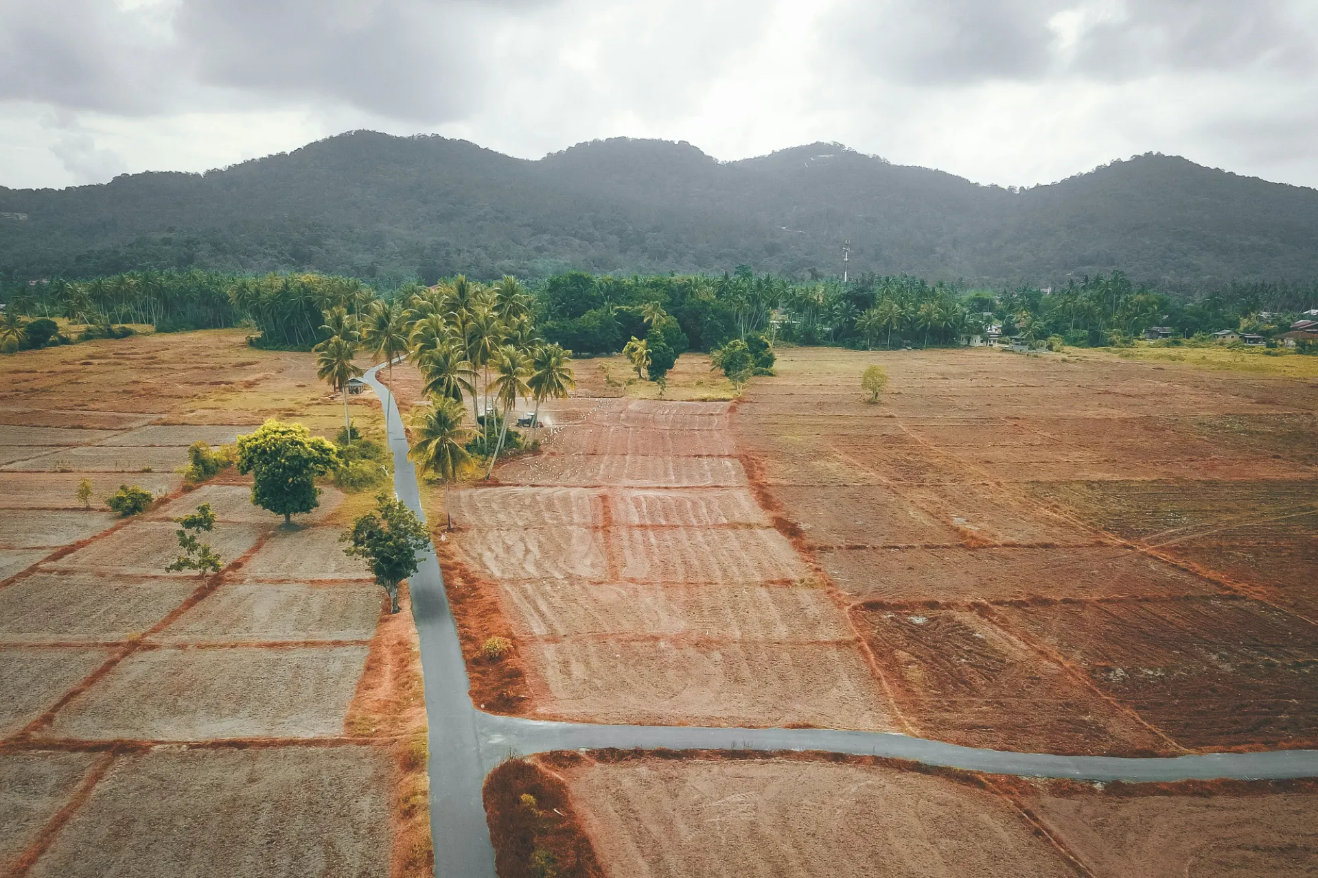 Gated Community 1/4 Acre in Ruiru